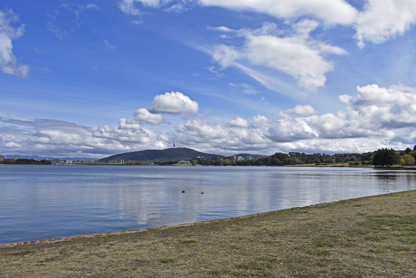 Lake Burley Griffin and its grassy shore viewed from RG Menzies Walk